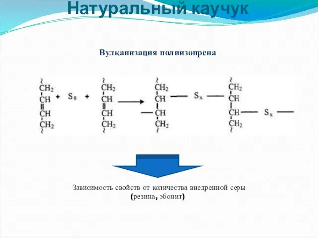 Натуральный каучук Вулканизация полиизопрена Зависимость свойств от количества внедренной серы (резина, эбонит)