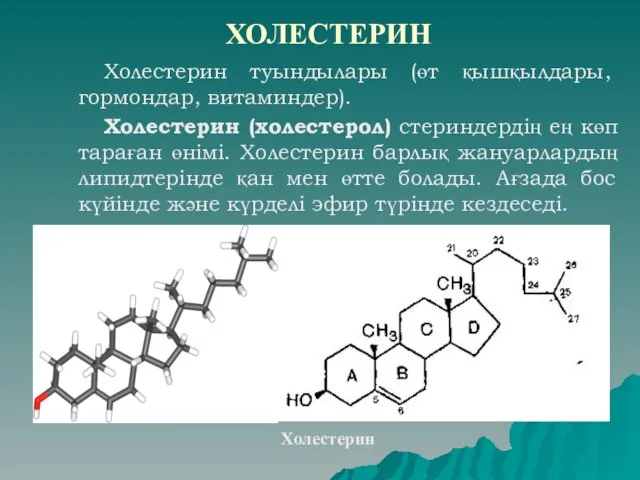 ХОЛЕСТЕРИН Холестерин туындылары (өт қышқылдары, гормондар, витаминдер). Холестерин (холестерол) стериндердің ең