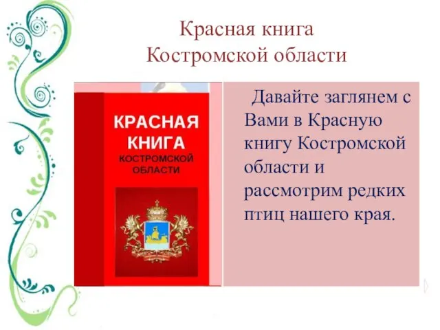 Красная книга Костромской области Давайте заглянем с Вами в Красную книгу