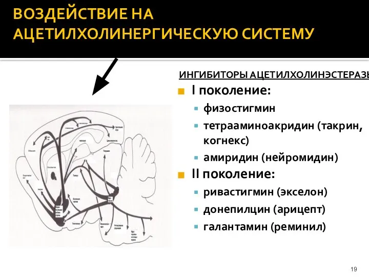 ВОЗДЕЙСТВИЕ НА АЦЕТИЛХОЛИНЕРГИЧЕСКУЮ СИСТЕМУ ИНГИБИТОРЫ АЦЕТИЛХОЛИНЭСТЕРАЗЫ I поколение: физостигмин тетрааминоакридин (такрин,