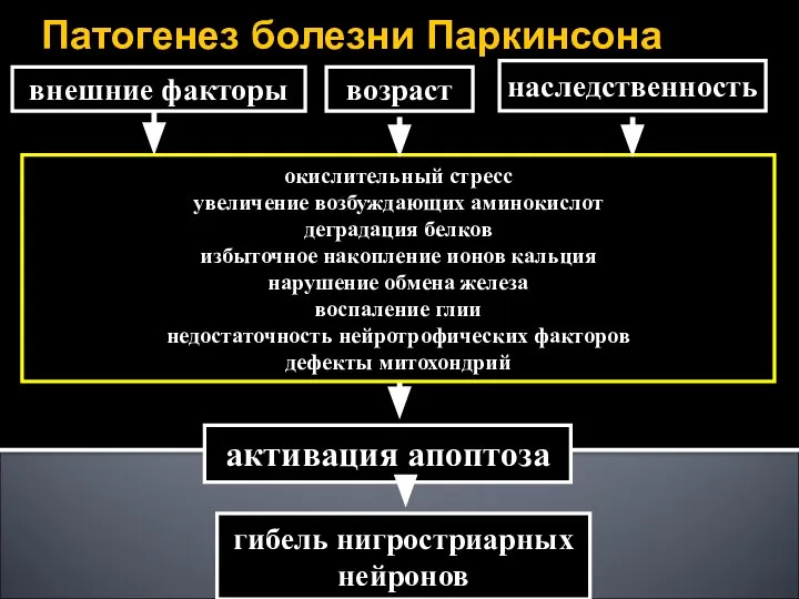 Патогенез болезни Паркинсона внешние факторы окислительный стресс увеличение возбуждающих аминокислот деградация