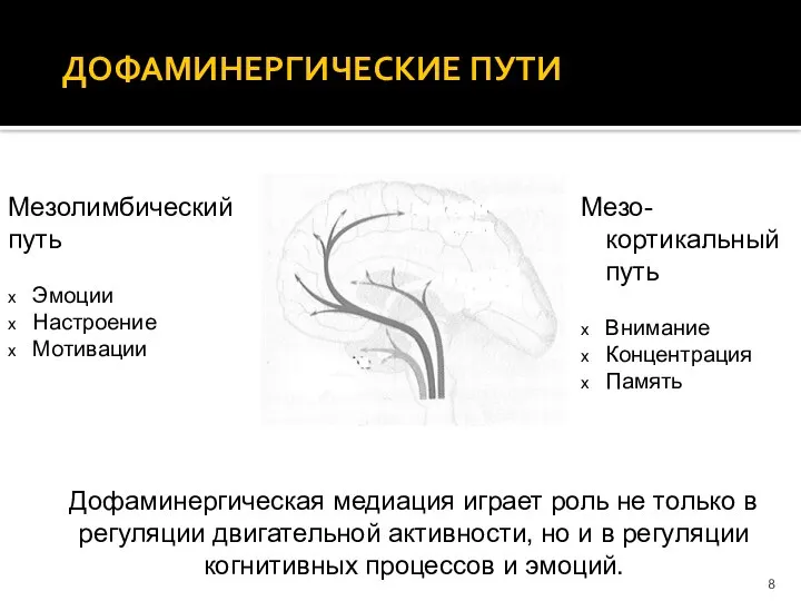 Мезо-кортикальный путь Внимание Концентрация Память ДОФАМИНЕРГИЧЕСКИЕ ПУТИ Мезолимбический путь Эмоции Настроение