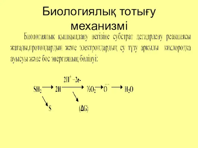 Биологиялық тотығу механизмі