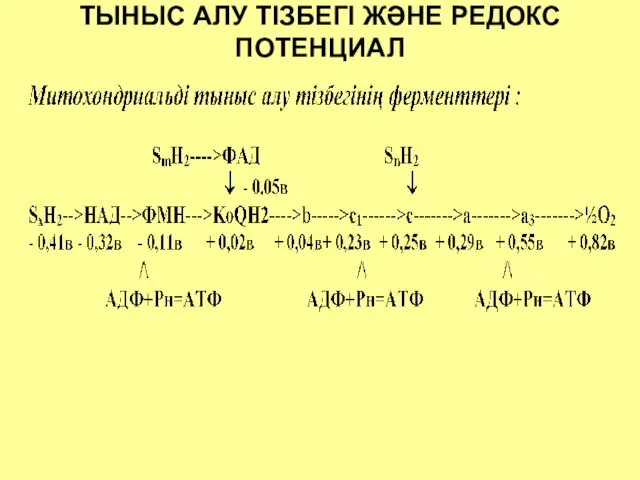 ТЫНЫС АЛУ ТІЗБЕГІ ЖӘНЕ РЕДОКС ПОТЕНЦИАЛ