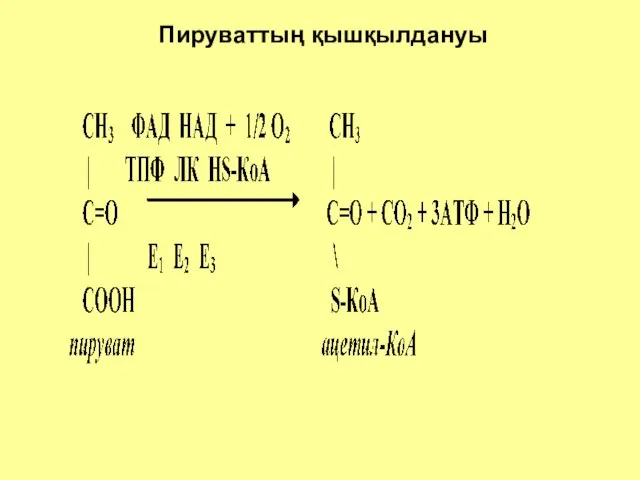 Пируваттың қышқылдануы