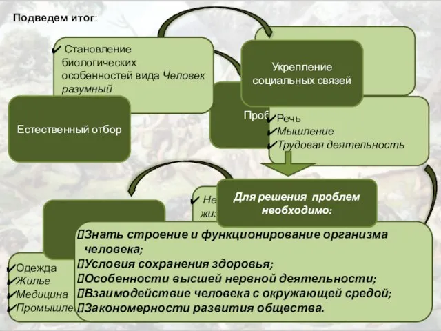 Экологические Медицинские Социальные Проблемы Становление биологических особенностей вида Человек разумный Естественный