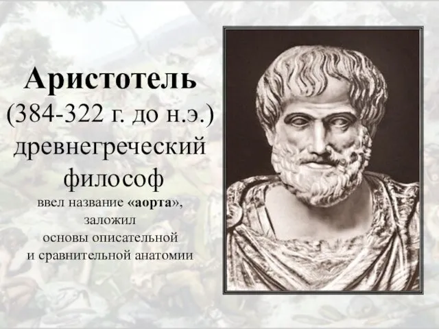 Аристотель (384-322 г. до н.э.) древнегреческий философ ввел название «аорта», заложил основы описательной и сравнительной анатомии