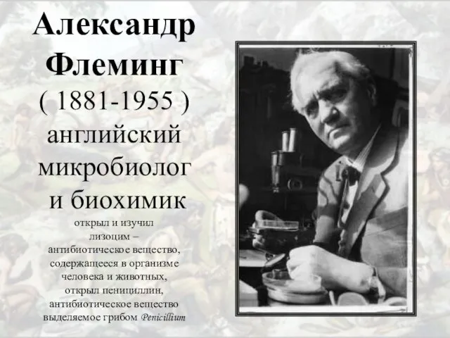 Александр Флеминг ( 1881-1955 ) английский микробиолог и биохимик открыл и