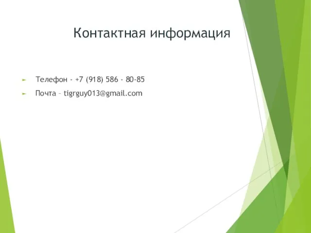 Телефон - +7 (918) 586 - 80-85 Почта – tigrguy013@gmail.com Контактная информация