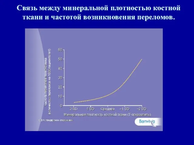 Связь между минеральной плотностью костной ткани и частотой возникновения переломов.