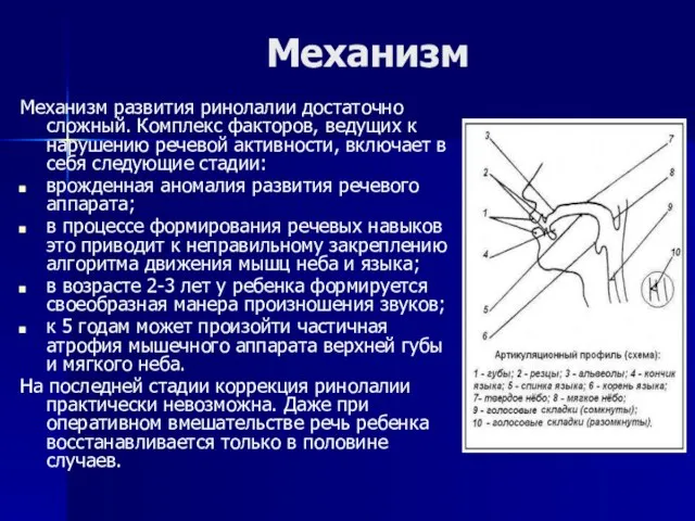 Механизм Механизм развития ринолалии достаточно сложный. Комплекс факторов, ведущих к нарушению