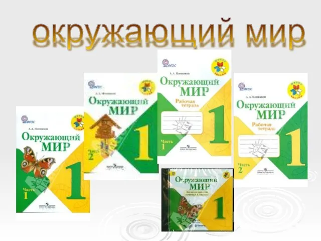 окружающий мир