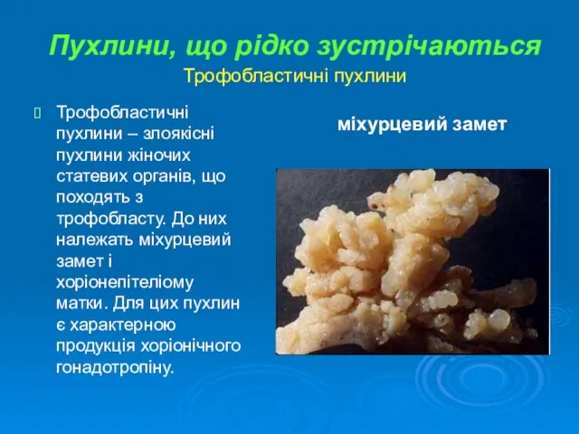 Пухлини, що рідко зустрічаються Трофобластичні пухлини міхурцевий замет Трофобластичні пухлини –