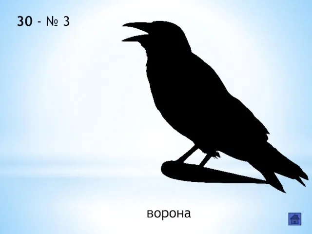 30 - № 3 ворона