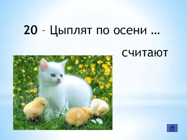 20 – Цыплят по осени … считают