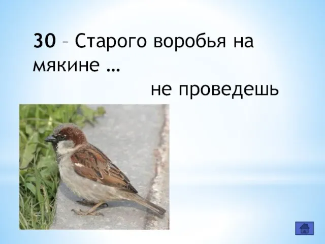 30 – Старого воробья на мякине … не проведешь