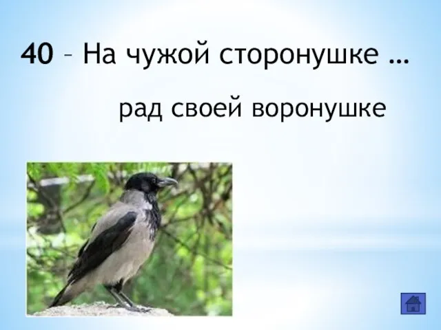 40 – На чужой сторонушке … рад своей воронушке