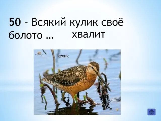 50 – Всякий кулик своё болото … хвалит