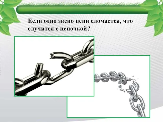 Если одно звено цепи сломается, что случится с цепочкой?