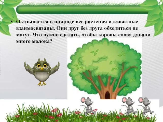 Оказывается в природе все растения и животные взаимосвязаны. Они друг без