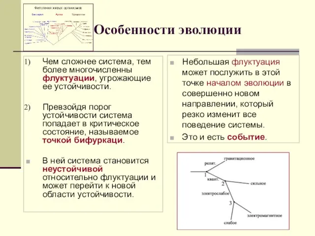 Особенности эволюции Чем сложнее система, тем более многочисленны флуктуации, угрожающие ее