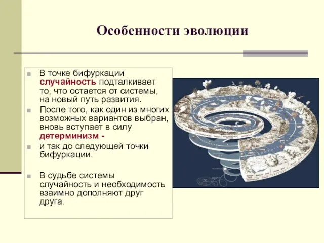 Особенности эволюции В точке бифуркации случайность подталкивает то, что остается от