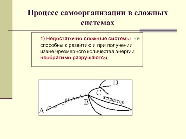 Процесс самоорганизации в сложных системах 1) Недостаточно сложные системы не способны