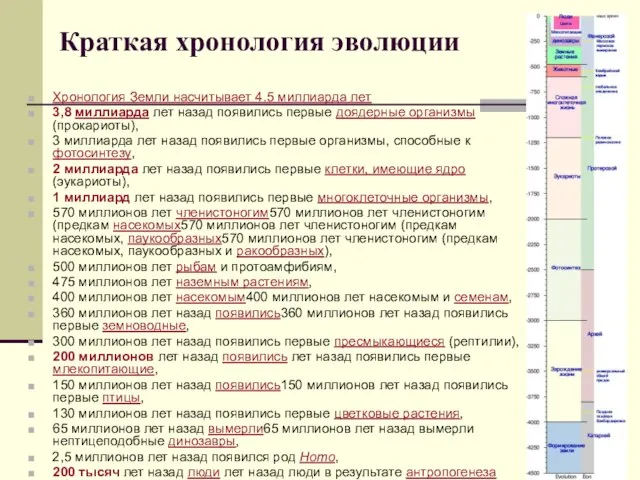 Краткая хронология эволюции Хронология Земли насчитывает 4.5 миллиарда лет 3,8 миллиарда