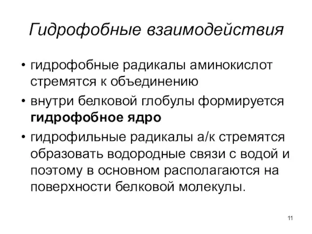 Гидрофобные взаимодействия гидрофобные радикалы аминокислот стремятся к объединению внутри белковой глобулы