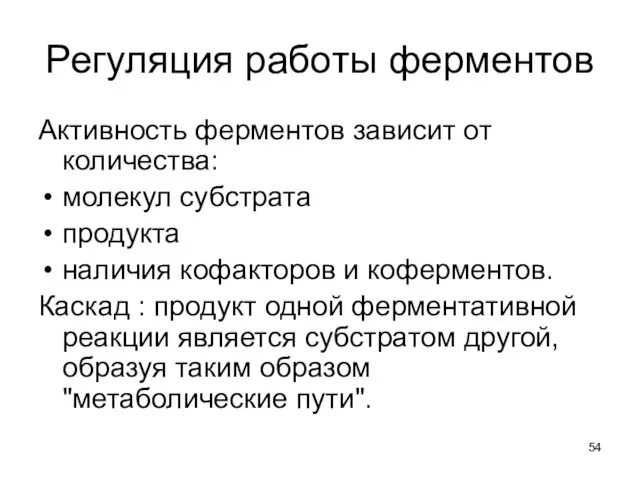 Регуляция работы ферментов Активность ферментов зависит от количества: молекул субстрата продукта