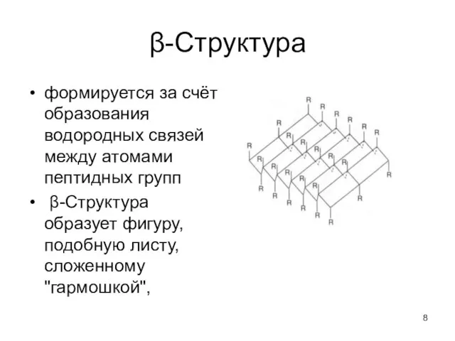 β-Структура формируется за счёт образования водородных связей между атомами пептидных групп