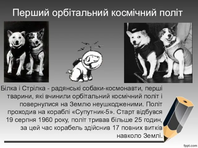 Перший орбітальний космічний політ Білка і Стрілка - радянські собаки-космонавти, перші