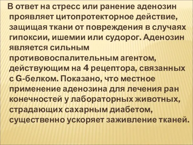 В ответ на стресс или ранение аденозин проявляет цитопротекторное действие, защищая