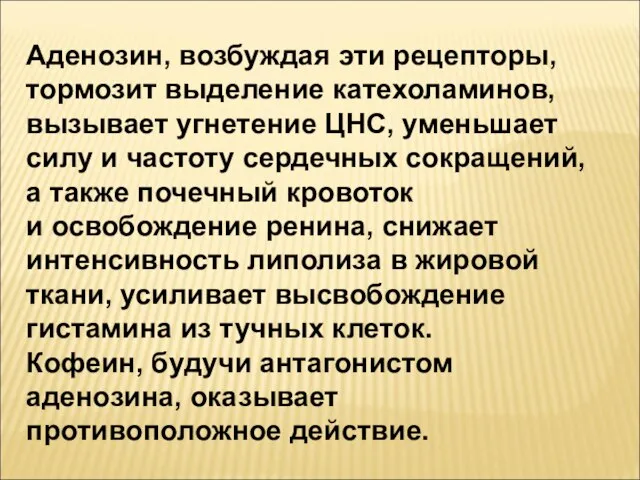 Аденозин, возбуждая эти рецепторы, тормозит выделение катехоламинов, вызывает угнетение ЦНС, уменьшает