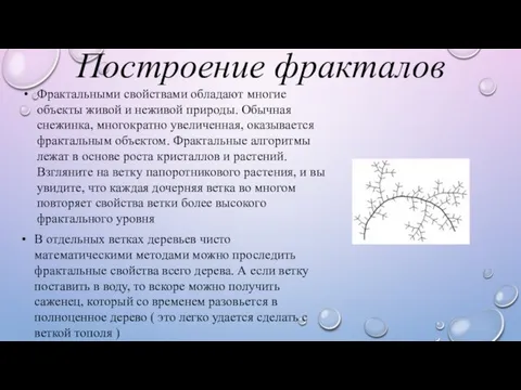 Построение фракталов Фрактальными свойствами обладают многие объекты живой и неживой природы.