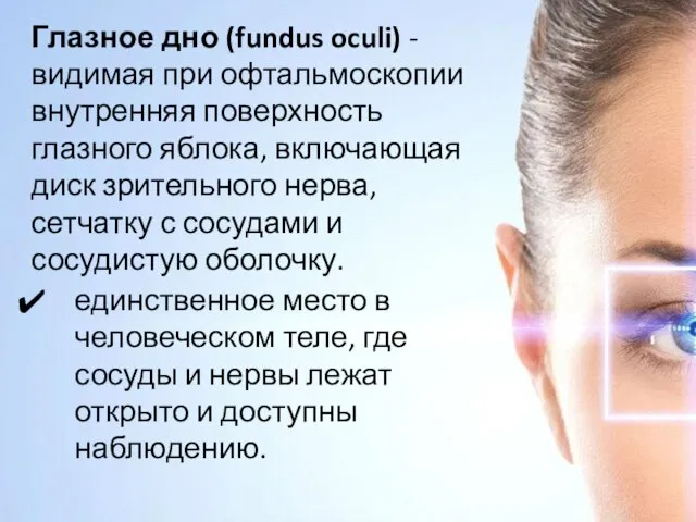 Глазное дно (fundus oculi) -видимая при офтальмоскопии внутренняя поверхность глазного яблока,