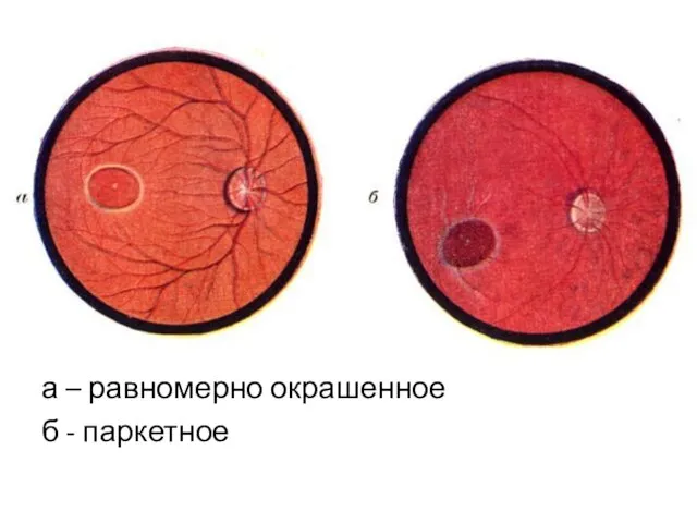 а – равномерно окрашенное б - паркетное