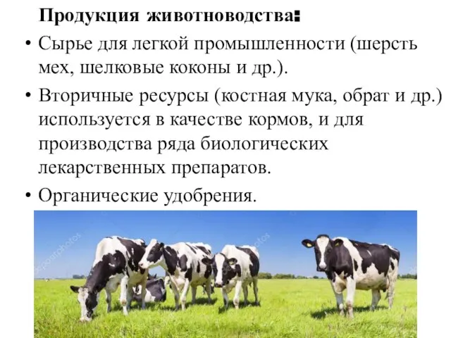 Продукция животноводства: Сырье для легкой промышленности (шерсть мех, шелковые коконы и