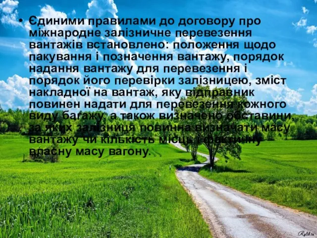 Єдиними правилами до договору про міжнародне залізничне перевезення вантажів встановлено: положення