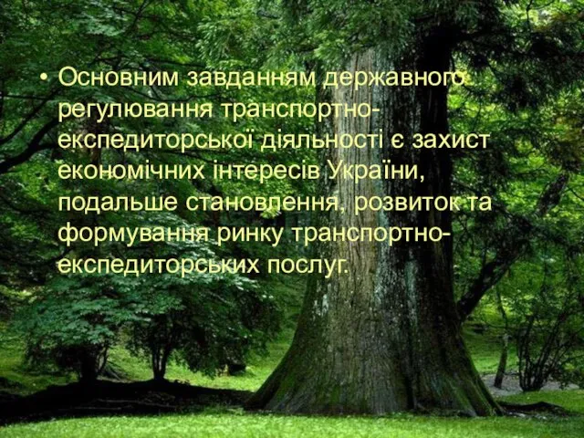 Основним завданням державного регулювання транспортно- експедиторської діяльності є захист економічних інтересів