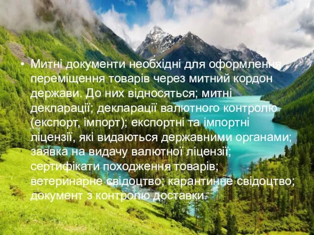 Митні документи необхідні для оформлення переміщення товарів через митний кордон держави.