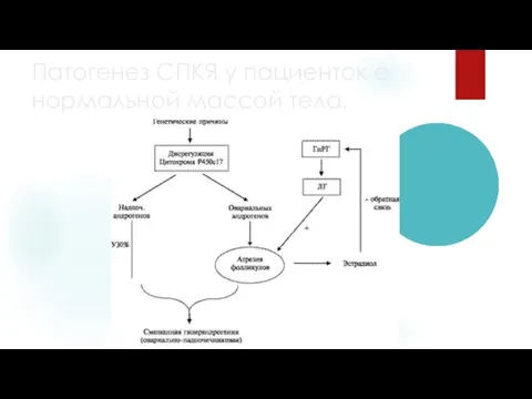 Патогенез СПКЯ у пациенток с нормальной массой тела.