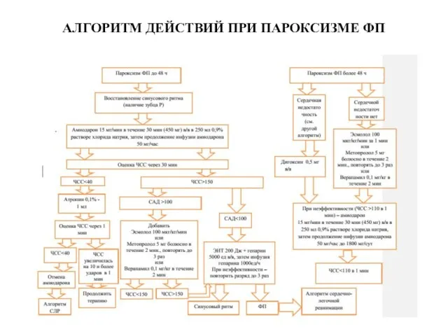 АЛГОРИТМ ДЕЙСТВИЙ ПРИ ПАРОКСИЗМЕ ФП