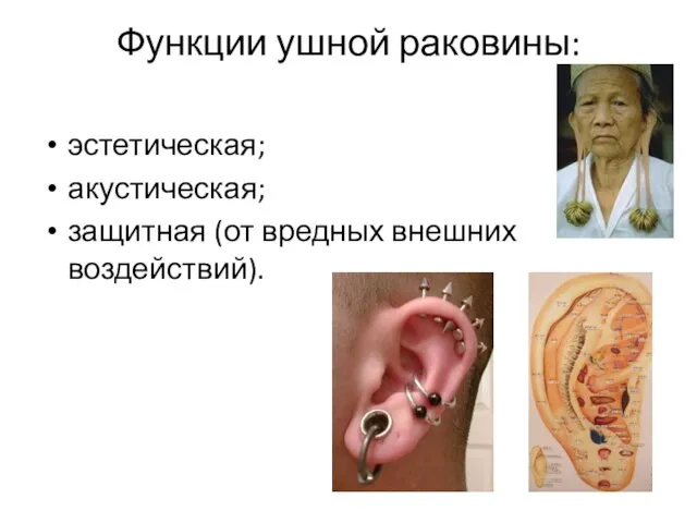 Функции ушной раковины: эстетическая; акустическая; защитная (от вредных внешних воздействий).