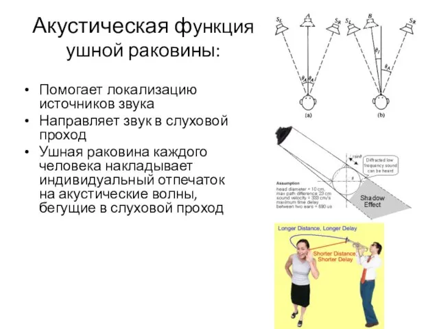 Акустическая функция ушной раковины: Помогает локализацию источников звука Направляет звук в