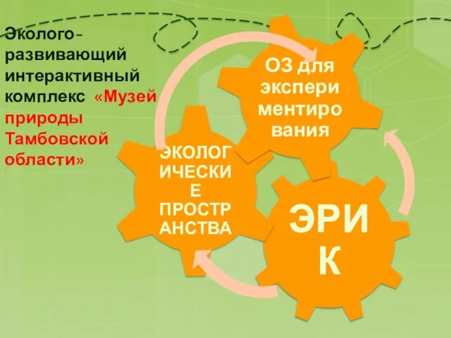 Эколого-развивающий интерактивный комплекс «Музей природы Тамбовской области»