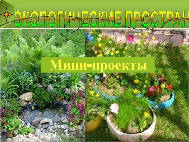 ЭКОЛОГИЧЕСКИЕ ПРОСТРАНСТВА Мини-проекты