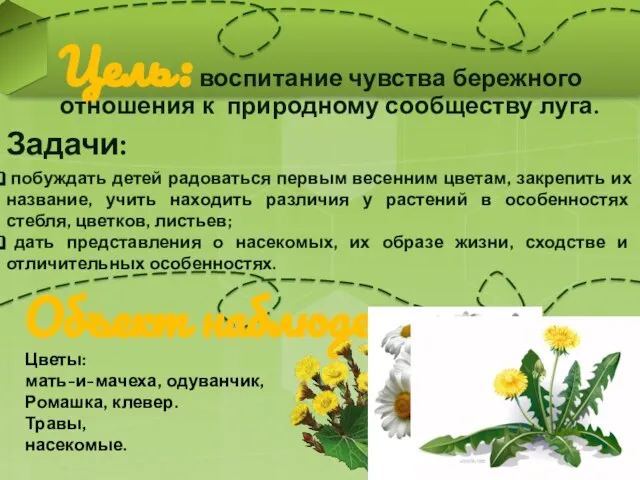 Цель: воспитание чувства бережного отношения к природному сообществу луга. побуждать детей