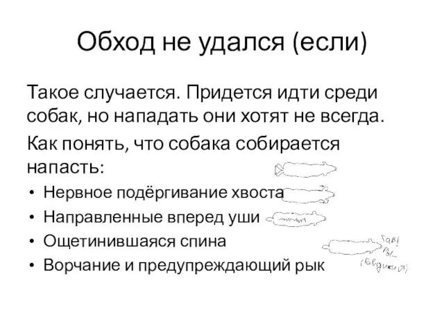 Обход не удался (если) Такое случается. Придется идти среди собак, но