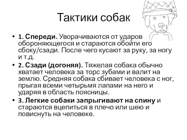 Тактики собак 1. Спереди. Уворачиваются от ударов обороняющегося и стараются обойти